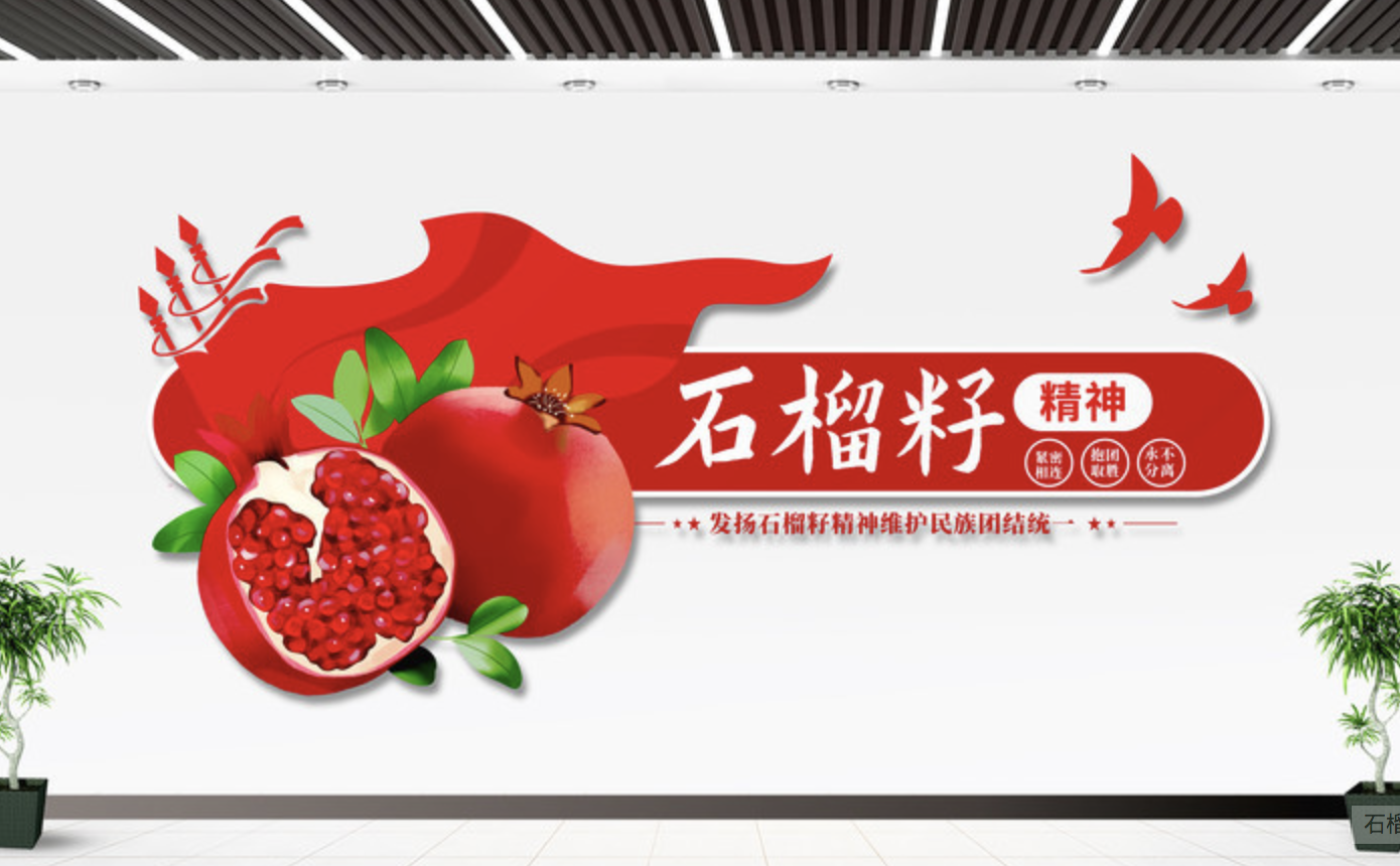 石榴籽精神民族團結(jié)黨建標(biāo)語文化墻(圖2) 石榴籽精神文化墻